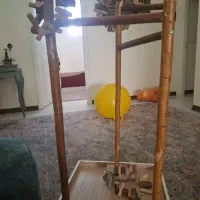 پایه طوطی