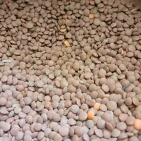 لوبیاو عدس ریز عدس درشت ولپه ونخودولوبیاچیتی وعسل|خوردنی و آشامیدنی|شیراز, قلعه نو|دیوار