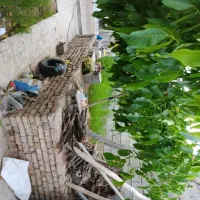 فروش منزل مسکونی|فروش خانه و ویلا|خرم بید, |دیوار