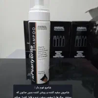 بهداشت حیوانات|لوازم جانبی حیوانات|شیراز, شهرک مهدیه|دیوار
