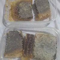 عسل طبیعی اویش وگون از دامنه سبلان|خوردنی و آشامیدنی|رشت, امین الضرب|دیوار