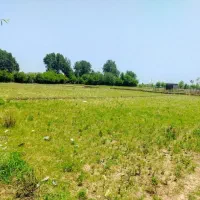 زمین مزروعی داخل طرح هادی با استعلام از بنیاد مسکن
