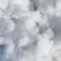 استخدام در تولیدی