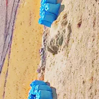 کاه برنج|لوازم جانبی حیوانات|یاسوج, |دیوار