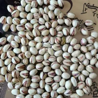 پسته