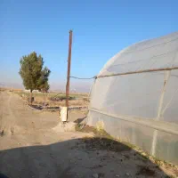 باغ|فروش دفتر صنعتی، کشاورزی، تجاری|فیروزه, |دیوار