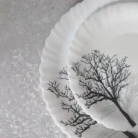 آرکوپال ۲۵ پارچه ۲ دست