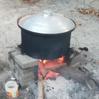 رب خانگی