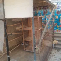 گنجه کفتر..مرغ|لوازم جانبی حیوانات|بهارستان, |دیوار