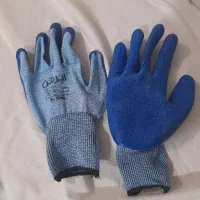 کفش کار و دستکش نو|کیف، کفش، کمربند|نیشابور, فرح بخش|دیوار