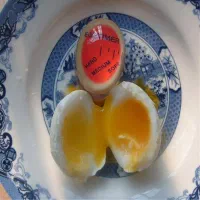 تایمر پخت آب پز تخم مرغ Egg Timer|ظروف پخت‌وپز|تهران, مولوی|دیوار