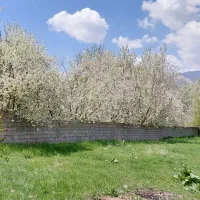 فروش زمین