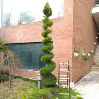 باغبانی و کارواش حیاط و سقف ویلا