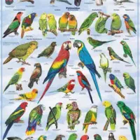 بازدید و اردو برای مدارس|اجارهٔ کوتاه‌مدت ویلا و باغ|اصفهان, رهنان|دیوار