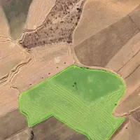 کشاورزی