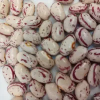 لوبیا چیتی|خوردنی و آشامیدنی|عجب شیر, |دیوار