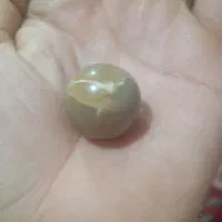 سنگ قیمتی|کلکسیون اشیاء عتیقه|اردبیل, |دیوار