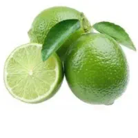 لیمو ترش پرشین لایم بدون هسته