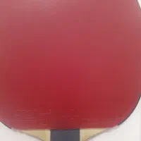 راکت چوب تیموبول alc و رویه mxp|تجهیزات ورزشی|بهشهر, |دیوار