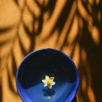 گروه تولید محتوا