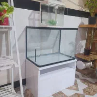 اکواریوم وماهی گلدفیش|ماهی|اسلامآباد غرب, |دیوار