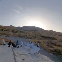 ...|پرنده|دورود, |دیوار