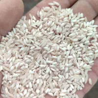 ۲۴۰کیلو برنج دله معطرتمیز بدون هیچ اشغالی