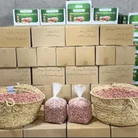 فروش عمده بادام زمینی مغان