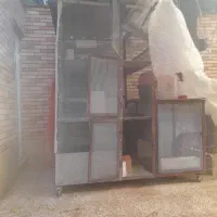 قس پرنده