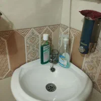 اجاره مسکونی|اجارهٔ خانه و ویلا|شیراز, سلطان آباد|دیوار