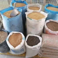 دانه فروشی و پرنده فروشی زرقان