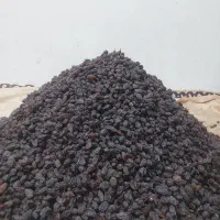 کشمش آفتابی