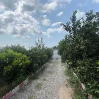 اجاره-ویلااستخردار-جکوزی-کلبه-سویسی
