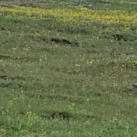 ۱۶۰ متر انباری یا سوله