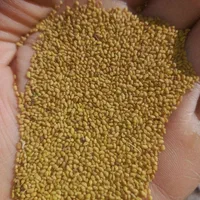 تخم یونجه قره یونجه
