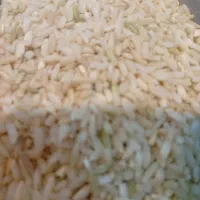 برنج چمپا|عمده‌فروشی|چیتاب, |دیوار