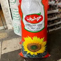 تخمه دور سفید