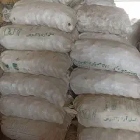 سیب زمینی
