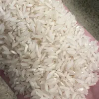 برنج کشت دوم طارم امراللهی|خوردنی و آشامیدنی|سرخرود, |دیوار