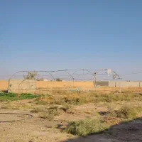 سازه فلزی گلخانه