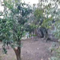 فروش زمین مسکونی