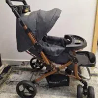 کالسکه دلیجان