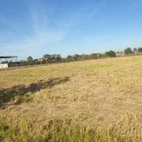 فروش زمین با مجوز گلخانه|فروش زمین و ملک کلنگی|ساری, |دیوار