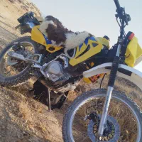 موتور تریل پیشرو 200