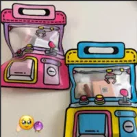 شانسی آرایشی
