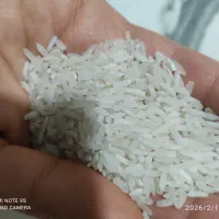 برنج پاکستانی