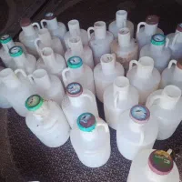 دبه خیار شور