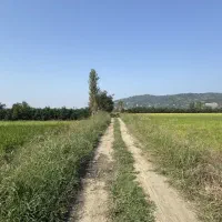 ۲۶۰۰ متر زمین کشاورزی در بابلکنار|فروش دفتر صنعتی، کشاورزی، تجاری|بابل, |دیوار