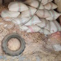 روستای حاجیه