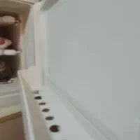 یخچال سفید|یخچال و فریزر|اهواز, فاز ۲ پادادشهر|دیوار